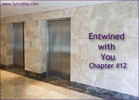 Entwined with You - Chapter Twelve